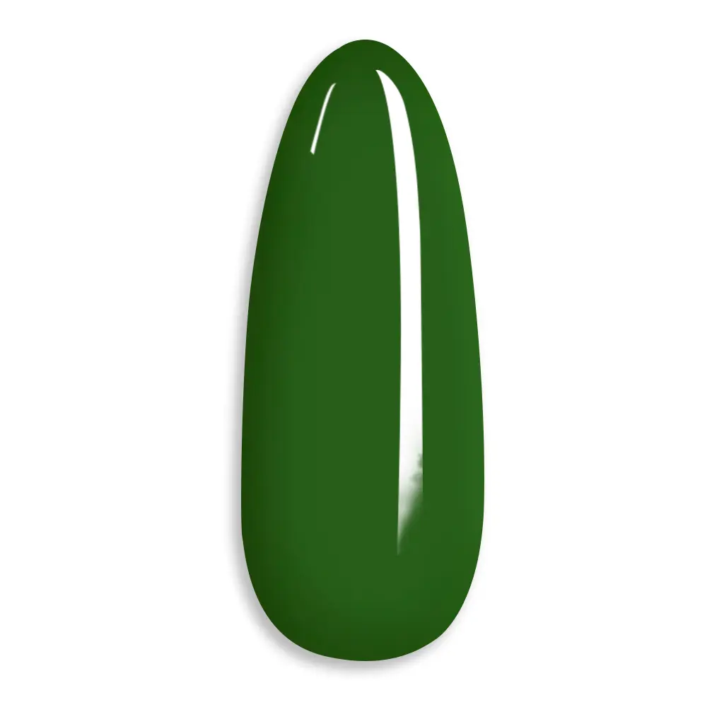 Glamnailsprofessional Health & Beauty > Nail Care > One Step Gel | Forest Moss